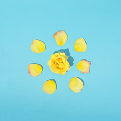 Sun made of flower rose and yellow flower petals on bright blue background. Nature summer minimal concept.
