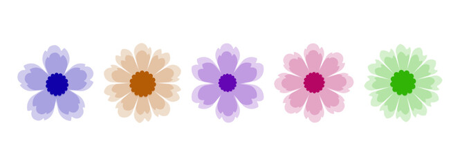 Collection of flowers in various colors &ndash; Set of flowers with translucent petals