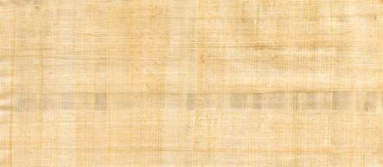 Old papyrus background texture. Banner wallpaper