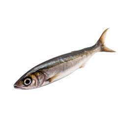 Fototapeta premium side view of Sardines fish isolated on a transparent background, Generative ai