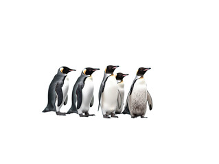 Obraz premium nice group of penguins. generated with AI
