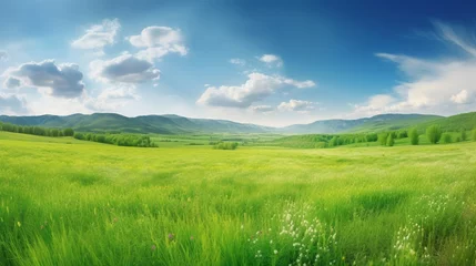 Fotobehang 緑の草原、青空、雲、山々を背景にしたパノラマ自然風景。夏の春の草原をパノラマで表現しました。浅い被写界深度GenerativeAI © enopi