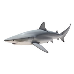 Fototapeta premium shark fish isolated on a transparent background, Generative ai