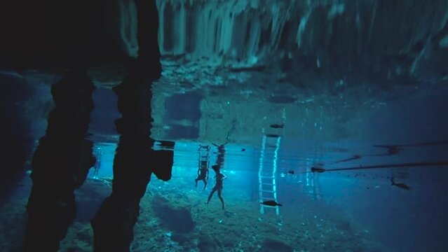 Underwater view from swimming visitors with turtles in the 'Gran Cenote' natural limestone pool in Tulum, Mexico
