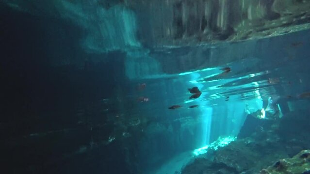 Under the water surface of the 'Gran Cenote' natural limestone pool with swimming fish and sun beam in Tulum, Mexico