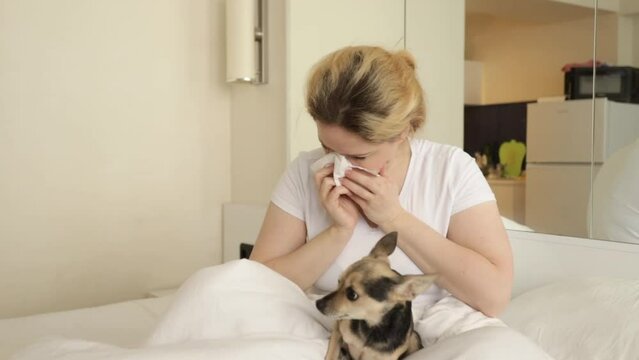 animal allergy, woman allergic sneeze, allergic rhinitis from a dog