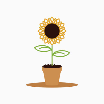 sunflower in pot, design vector template