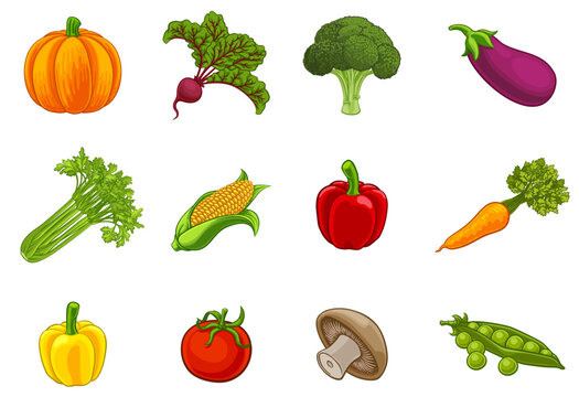 A vegetables cartoon vegetable produce icon set collection
