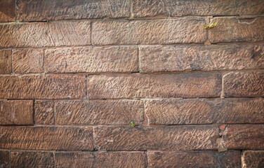 The rugged beauty of the stone wall texture reveals strength and history. A symbol of resilience, authenticity, and the passage of time etched in every crevice
