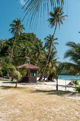 Fototapeta premium Monkey in koh samui thailand. ang thong national park