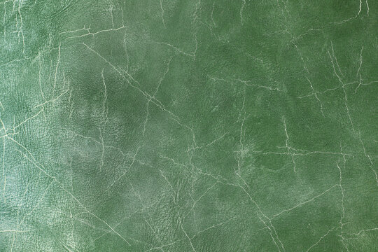 Beautiful green background with leather texture