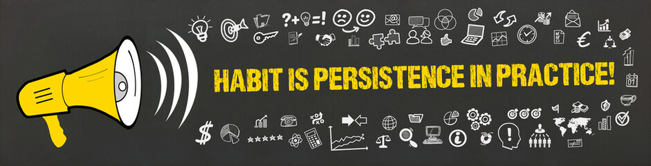habit is persistence in practice! - obrazy, fototapety, plakaty