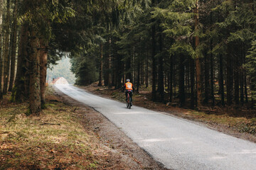 Radfahren im Wald mit Nebel im Frühling oder Herbst