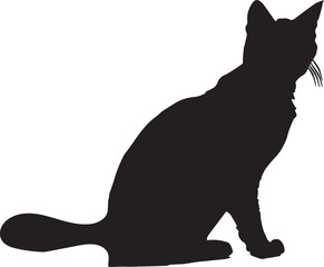 black cat silhouette
