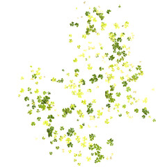 3d illustration of shamrock bush isolated on transparent background top view