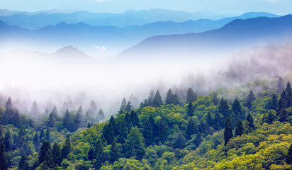 Obraz premium Beautiful landscape with blue misty silhouette of mountains 