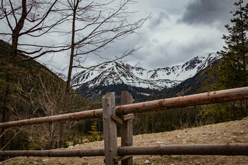 Polish Tatras view from the Chocholowska Valley