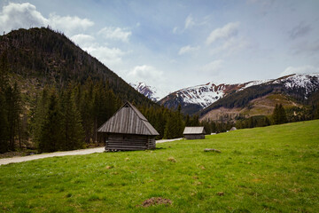 Fototapeta na wymiar Polish Tatras view from the Chocholowska Valley