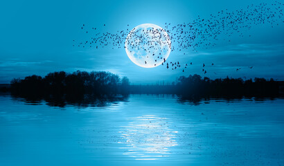 Silhouette of birds flying over the lake full moon in the background at night "Elements of this image furnished by NASA"