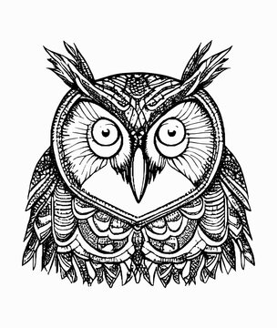 line owl ornament art handrawn