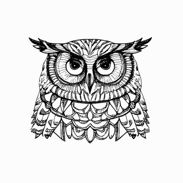 line owl ornament art handrawn