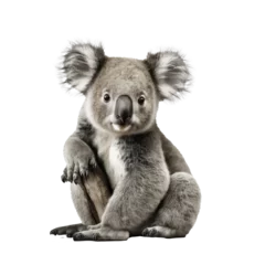 Zelfklevend Fotobehang koala isolated on white © Tidarat