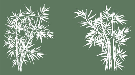 Fototapeta premium Bamboo tree, Hand drawn style. Vector. 