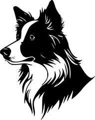 Border Collie | Minimalist and Simple Silhouette - Vector illustration - obrazy, fototapety, plakaty