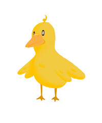 The duck or maybe is chicken 