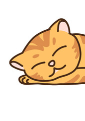 CAT-Meow