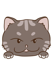 CAT-Meow