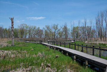 A winding boardwalk through a large coastal wetland complex reminiscent of what the Great Black...