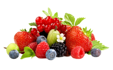Mixed Berries with Blossom and Leaves - Transparent Background PNG