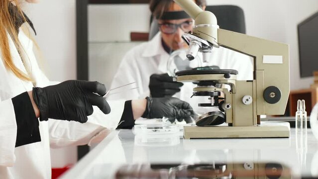 Teamwork of male and female entomologists to investigate insect grasshoppers and worms as a new source of protein food. Laboratory with laptop and microscope. The camera moves from bottom to top