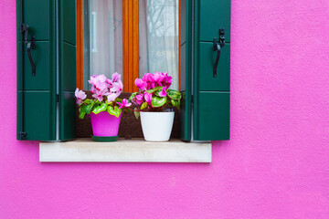 Fototapeta na wymiar Pink painted facade of the house and window with pink flowers.