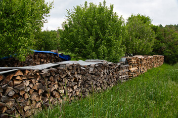 Gespaltenes, aufgestapeltes Brennholz auf einer Wiese mit Bäumen