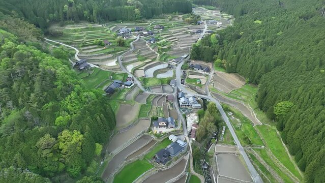 Aerial view of flooded rice fields in mountain village surrounded by forest
