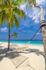 Tranquil travel landscape. Tropical beach background. Summer relaxing closeup hammock hanging between palm trees, white sand sunny blue sky sea horizon. Amazing beach vacation summer holiday concept