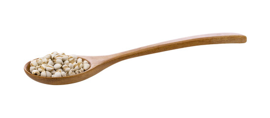 Pile of Job's tears ( Adlay millet) in wood spoon on transparent png
