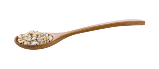 Pile of Job's tears ( Adlay millet) in wood spoon on transparent png