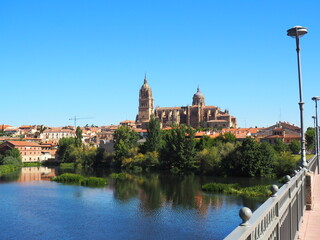 Stand out Salamanca Cathedral  with reflection.