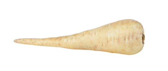  fresh parsnip roots on transparent png