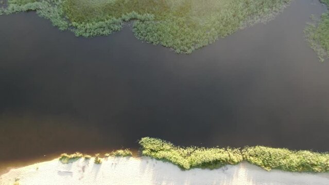Aerial view of the top of the Huchet Current, the Landes amazon behind the Atlantic dune