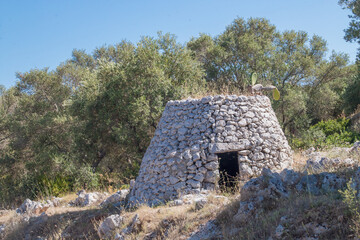 Fototapeta na wymiar Trullo, choza de piedra seca tradicional en un olivar de Gagliano del Capo, Italia. La forma cónica, especialmente del tejado, es la característica más representativa de esta construcción.
