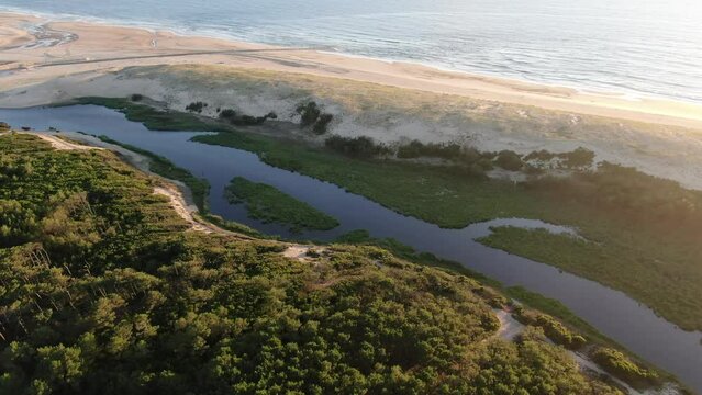 Le Courant d'Huchet, Moliets, Les landes, Nouvelle Aquitaine, France, Europe