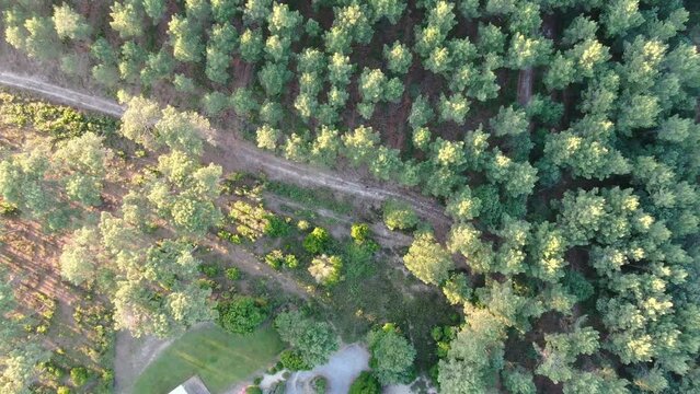 Aerial view with sunrays