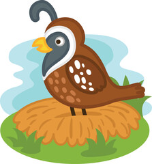 cute cartoon quail character on white background illustration