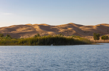 Small lake in an Dubai desert resorts surrounded by dunes, United Arab Emirates
