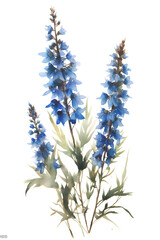 Naklejka premium bugloss pressed dried flowers in the style of watercolor on a white background - 2:3