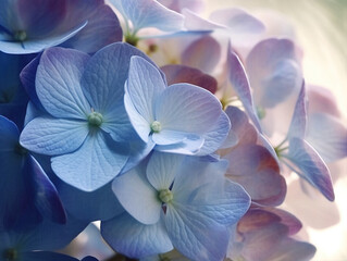 Fresh blue hydrangea flowers, close-up. AI generated image.